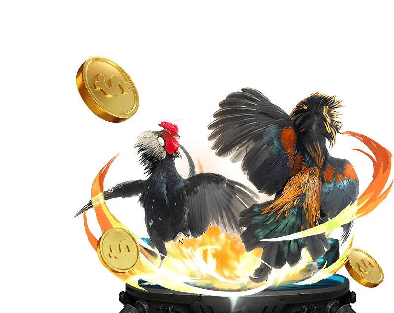 Tổng quan về thương hiệu vn58vip